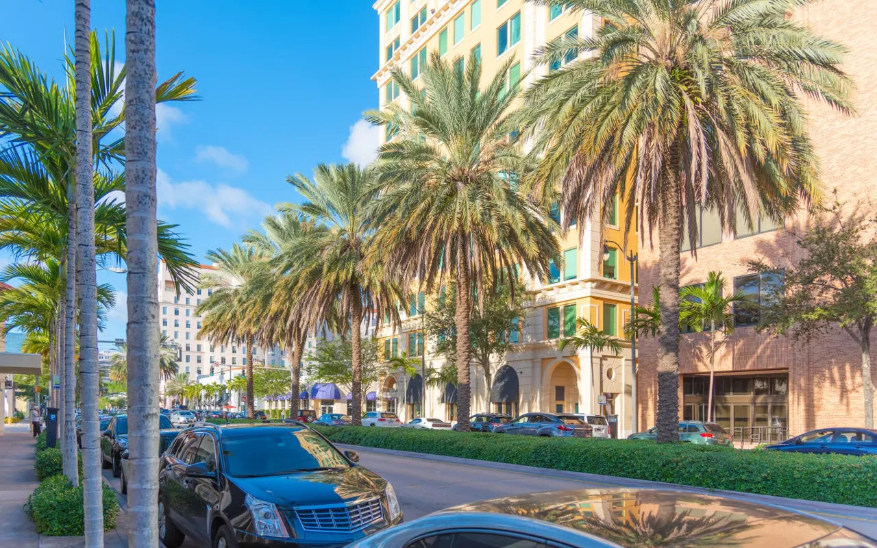 Palm-lined street in Coral Gables